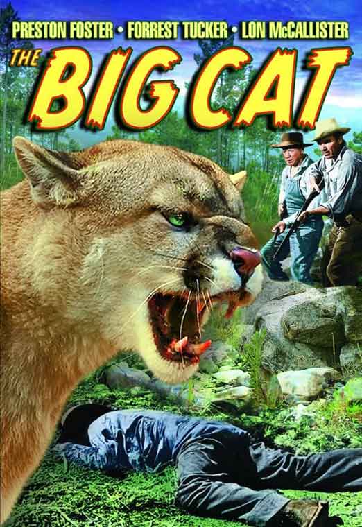 The Big Cat